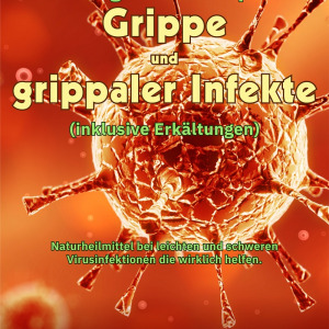 Buch: Die biologische Therapie der Grippe - von René Gräber